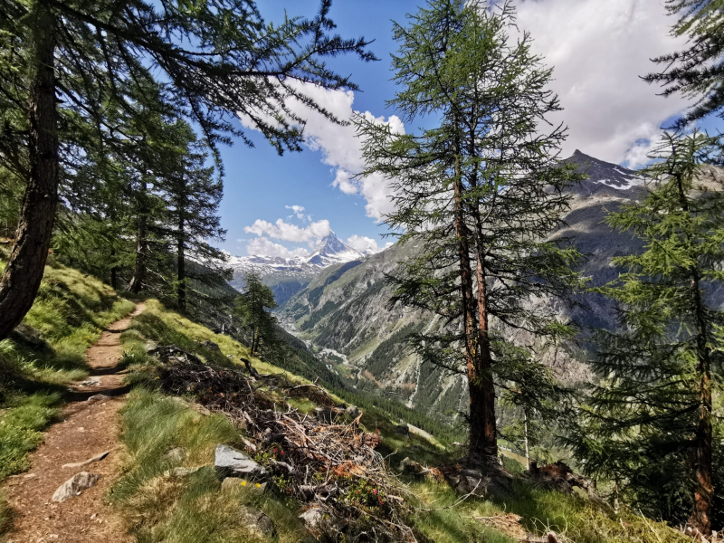 Hiking trail between Zermatt and Täsch with view to Matterhorn